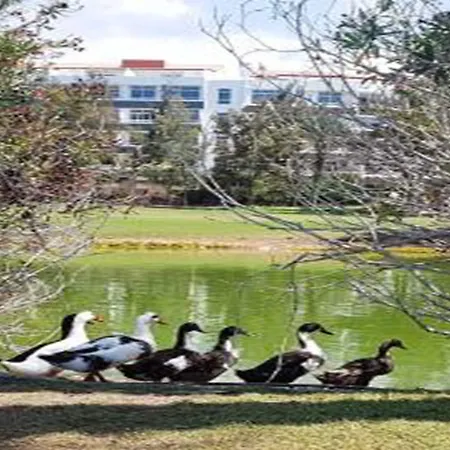 Garden Eco Hotel Playa de las Americas (Tenerife)