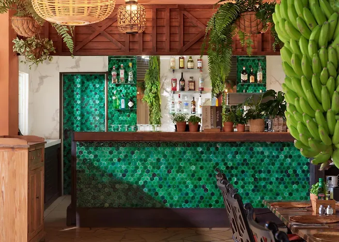 Garden Eco Playa de las Americas (Tenerife)