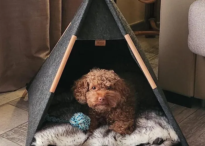 Garden Eco Resort&villas Hotel